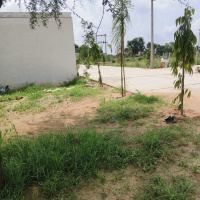 Residential Plot for Sale in Reengus, Sikar