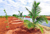  Agricultural Land for Sale in Medavakkam, Chennai
