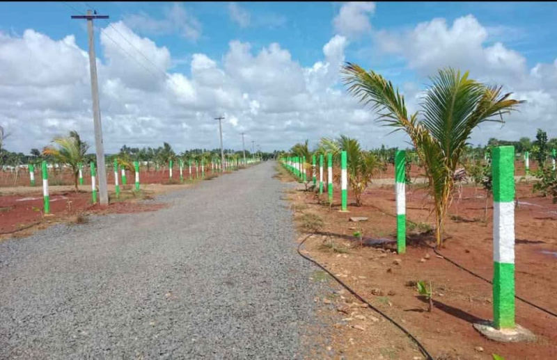  Agricultural Land 9600 Sq.ft. for Sale in Ecr To Marakanam Road, Chennai