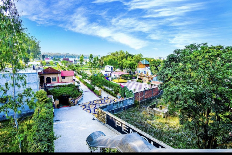  113 Sq. Yards Residential Plot for Sale in Biharigarh, Saharanpur