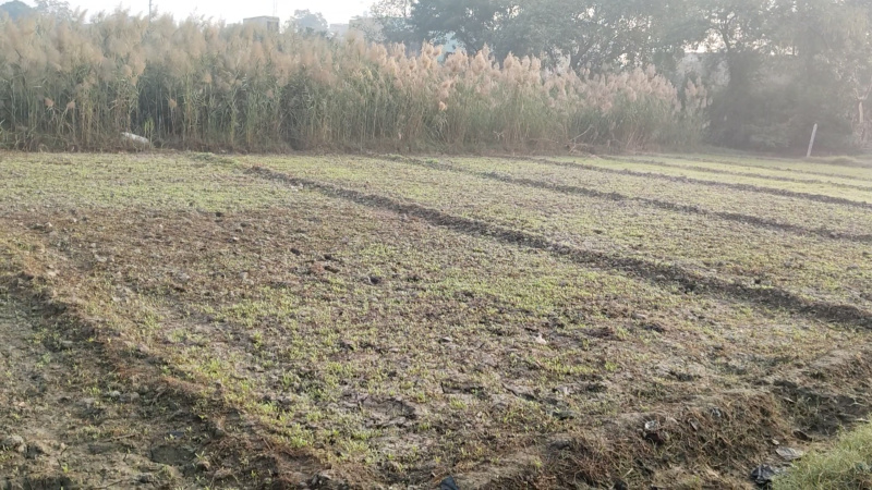  Residential Plot 1110 Hectares for Sale in Bhoor, Bulandshahr