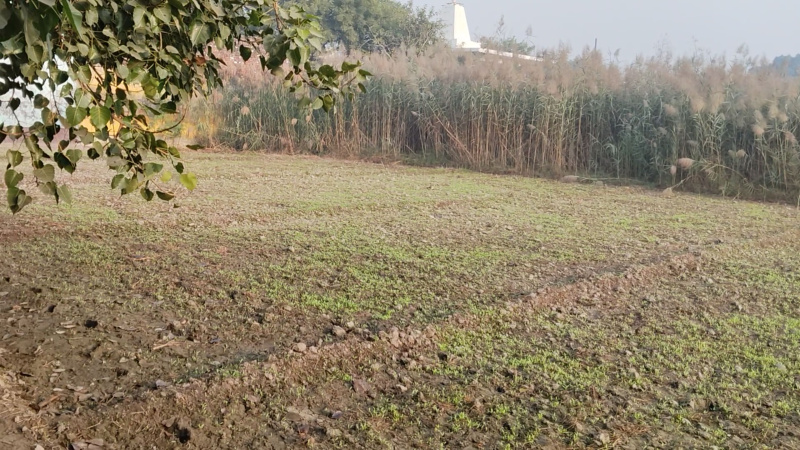  Residential Plot 1110 Hectares for Sale in Bhoor, Bulandshahr