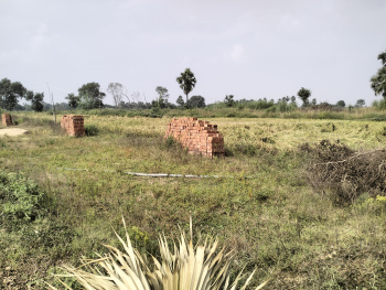  Residential Plot for Sale in Masaurhi, Patna