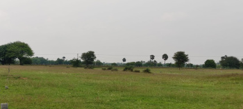  Residential Plot for Sale in Thanthoni, Karur