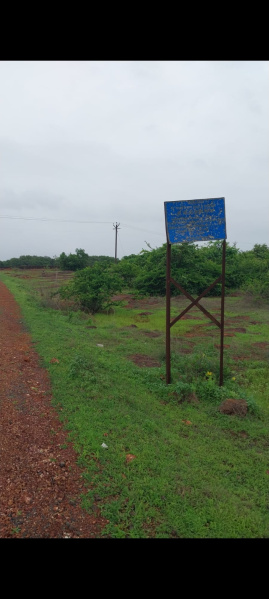  Agricultural Land 53 Guntha for Sale in Devgad, Sindhudurg