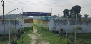  Commercial Land for Sale in Forbesganj, Araria