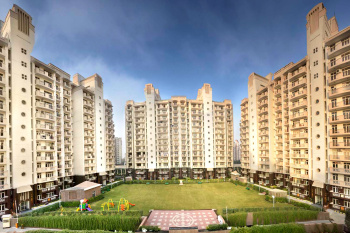 2.5 BHK Flat for Sale in MG Road, Gurgaon