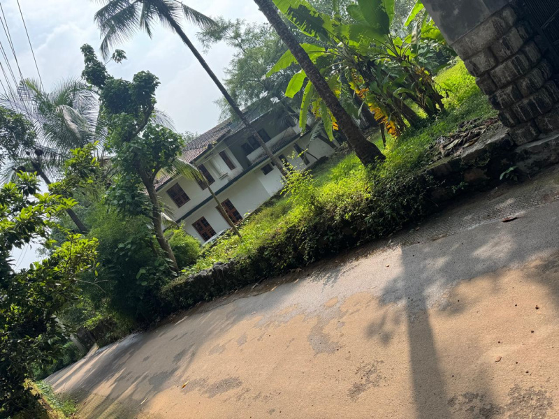  Residential Plot 17 Cent for Sale in Perambra, Kozhikode