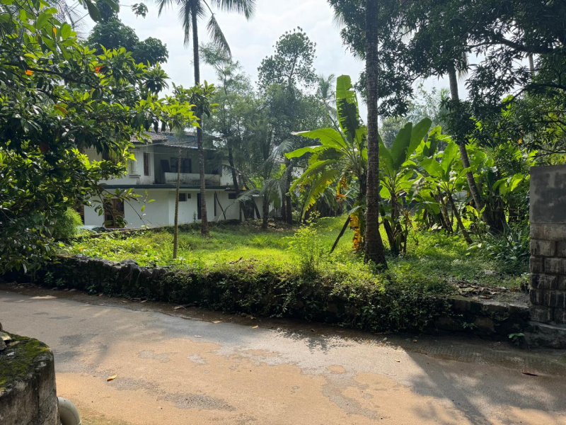  Residential Plot 17 Cent for Sale in Perambra, Kozhikode