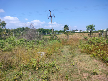  Residential Plot for Sale in Annagramam, Cuddalore