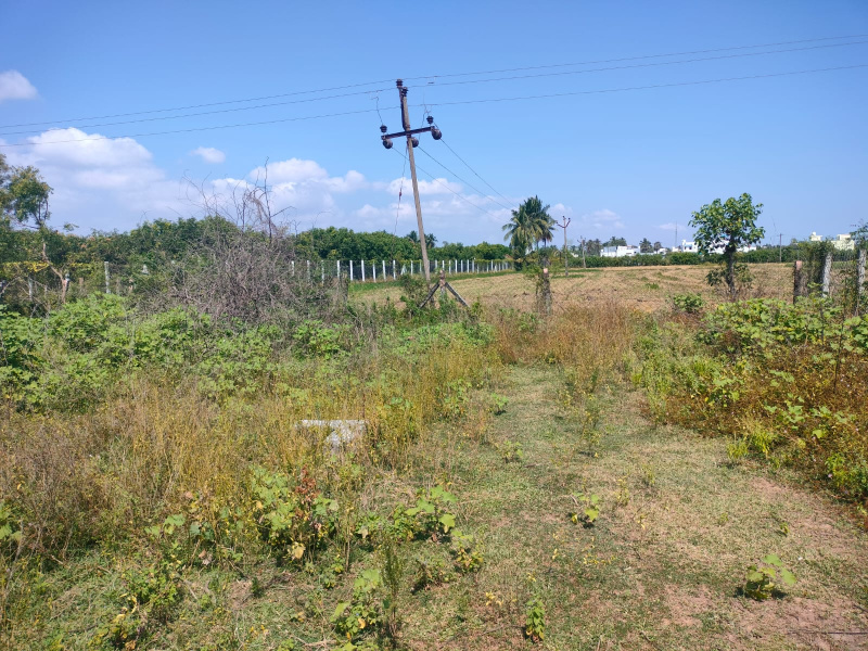  Residential Plot 1400 Sq.ft. for Sale in Annagramam, Cuddalore