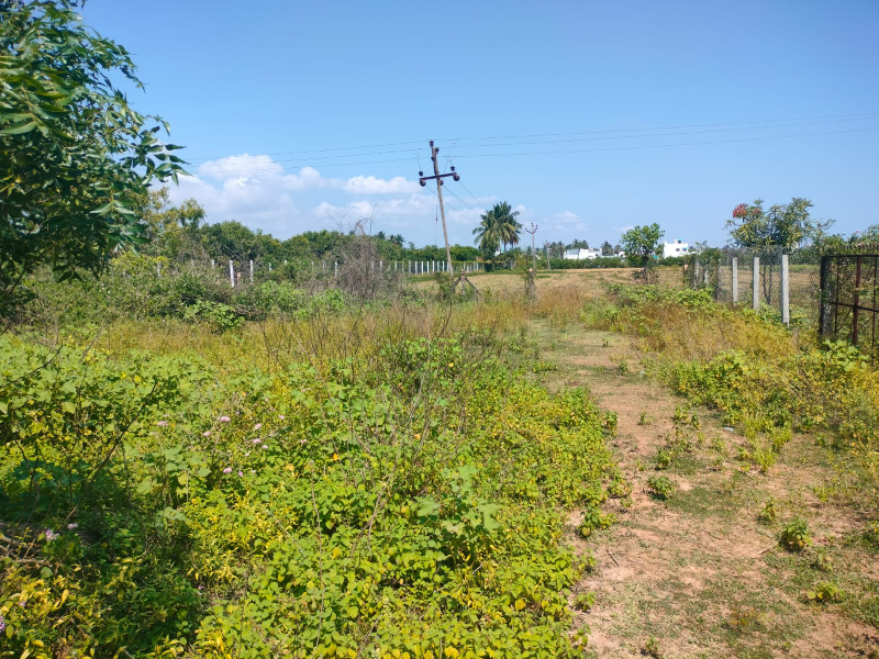  Residential Plot 1400 Sq.ft. for Sale in Annagramam, Cuddalore