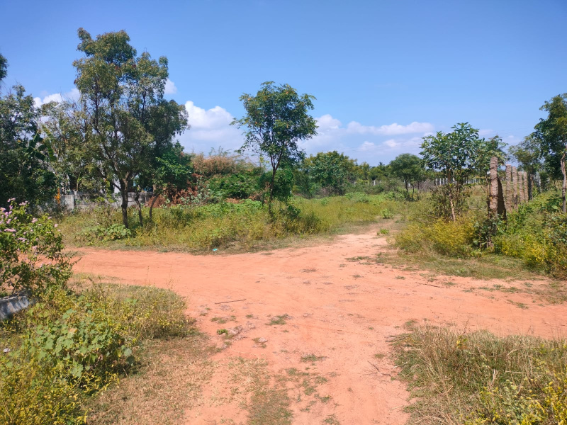  Residential Plot 1400 Sq.ft. for Sale in Annagramam, Cuddalore