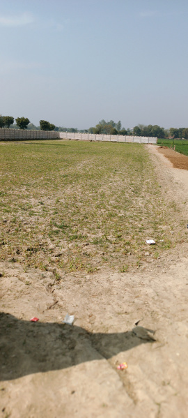  Residential Plot 100 Sq. Yards for Sale in Chhatikara Road, Vrindavan