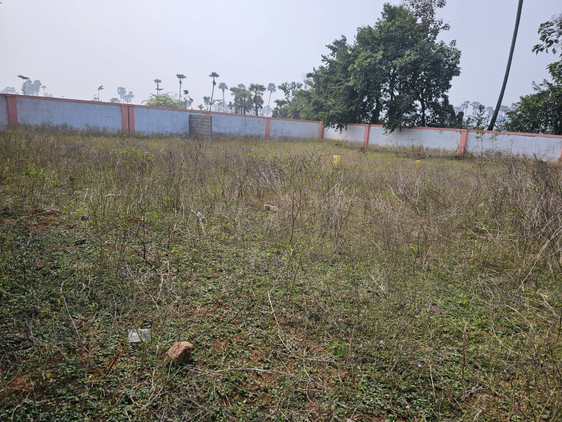  Residential Plot 383 Sq. Yards for Sale in Bhogapuram, Visakhapatnam