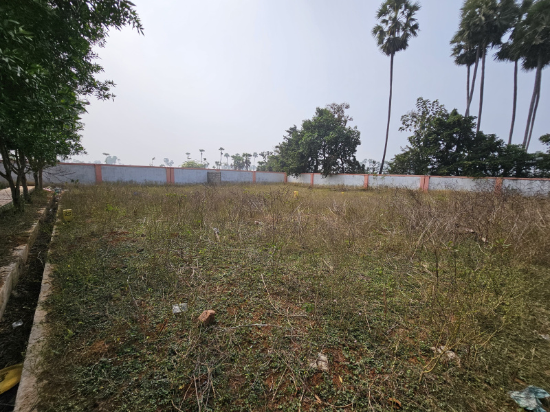  Residential Plot 383 Sq. Yards for Sale in Bhogapuram, Visakhapatnam