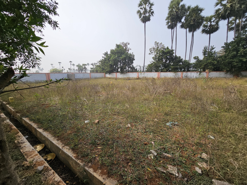  Residential Plot 383 Sq. Yards for Sale in Bhogapuram, Visakhapatnam