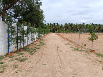  Agricultural Land for Sale in Kovilpalayam, Coimbatore