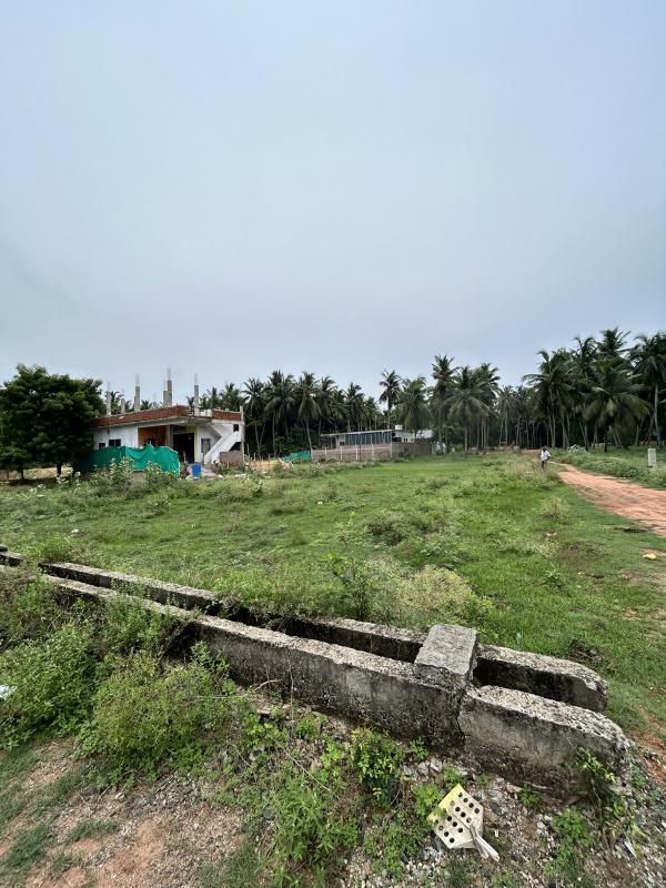  Residential Plot 9 Cent for Sale in Amalapuram, East Godavari