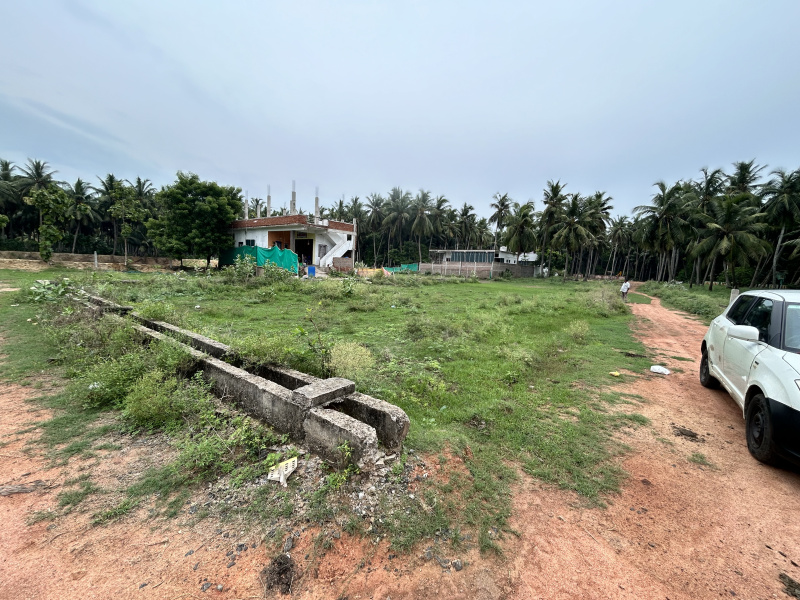  Residential Plot 9 Cent for Sale in Amalapuram, East Godavari