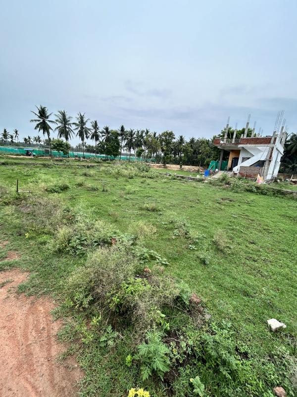  Residential Plot 9 Cent for Sale in Amalapuram, East Godavari