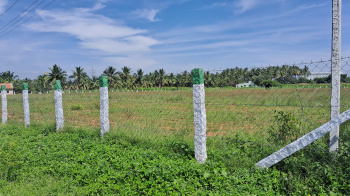  Agricultural Land for Sale in Pattanam Pudur, Coimbatore