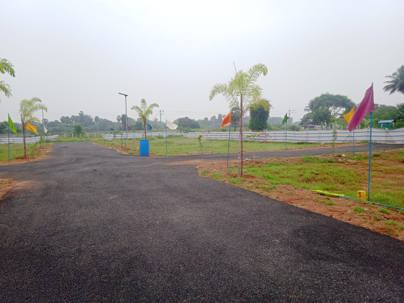  Residential Plot 1433 Sq.ft. for Sale in Nathampannai, Pudukkottai