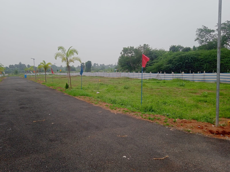  Residential Plot 1433 Sq.ft. for Sale in Nathampannai, Pudukkottai