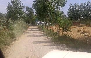  Agricultural Land for Sale in Hajipur, Hoshiarpur