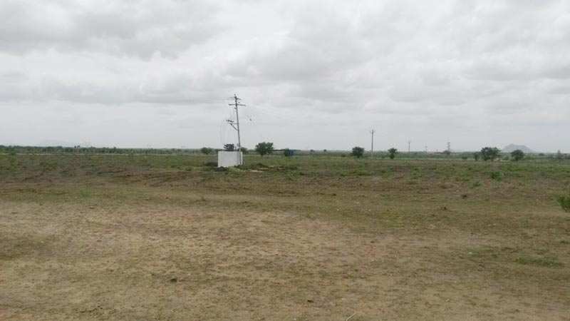 Agricultural Land 145 Acre for Sale in Somandepalli, Anantapur