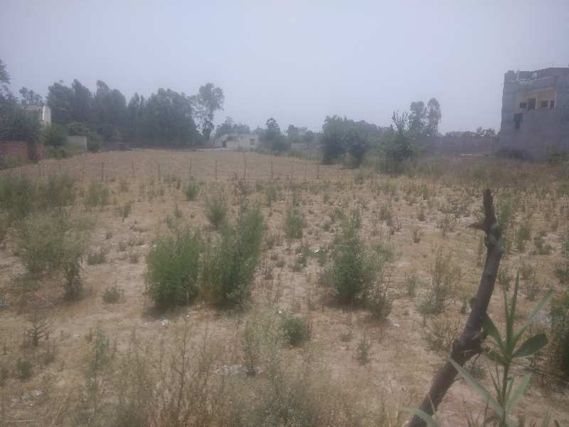 Agricultural Land 6 Acre for Sale in Bassi Gulam Hussain, Hoshiarpur