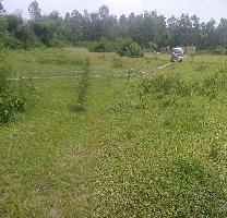  Agricultural Land for Sale in Chandigarh Road, Hoshiarpur