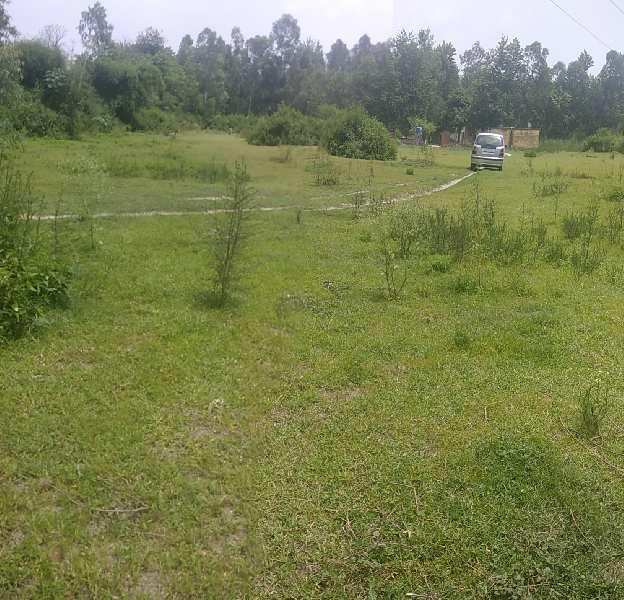 Agricultural Land 10 Acre for Sale in Chandigarh Road, Hoshiarpur