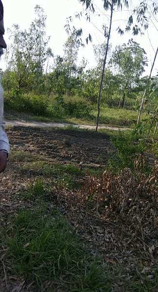 Agricultural Land 90 Acre for Sale in Bassi Gulam Hussain, Hoshiarpur