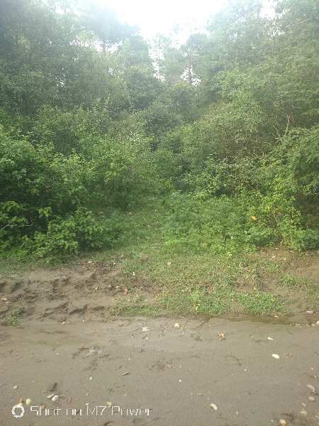 Agricultural Land 22 Acre for Sale in Bhunga, Hoshiarpur