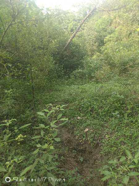 Agricultural Land 15 Acre for Sale in Bhunga, Hoshiarpur