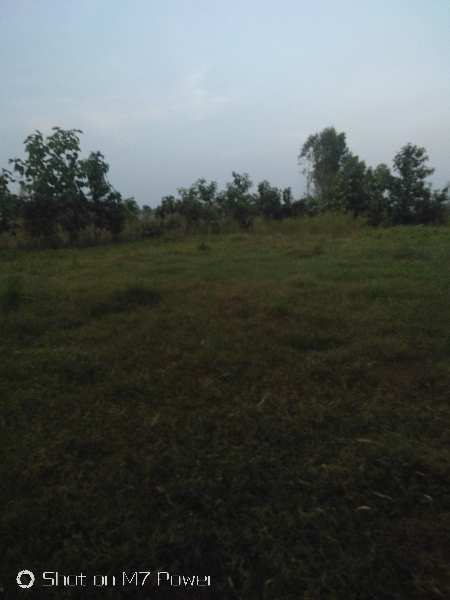 Agricultural Land 15 Acre for Sale in Hajipur, Hoshiarpur