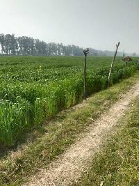  Agricultural Land for Sale in Chandigarh Road, Hoshiarpur