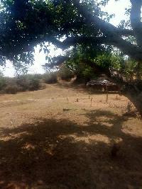  Agricultural Land for Sale in Bhunga, Hoshiarpur