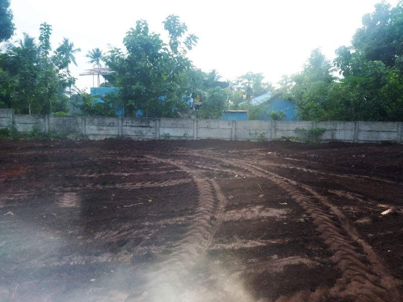  Residential Plot 33 Cent for Sale in Nemmara, Palakkad