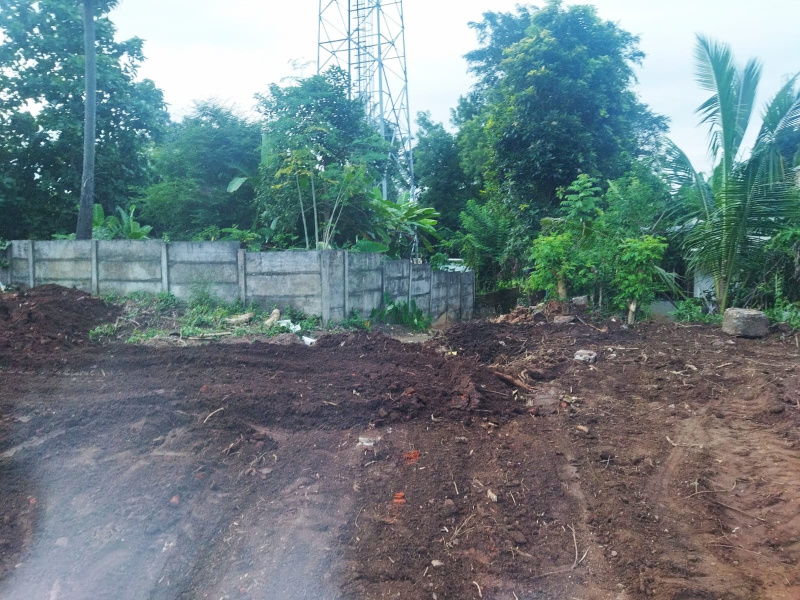  Residential Plot 33 Cent for Sale in Nemmara, Palakkad