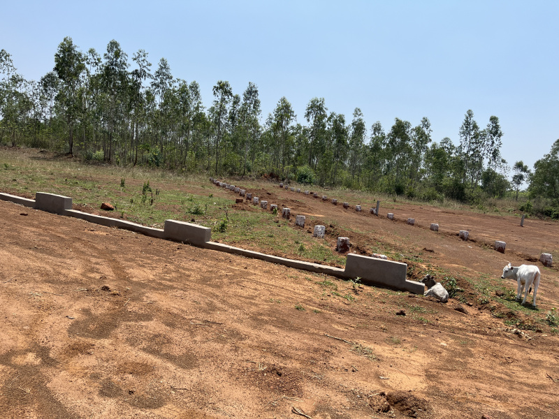  Residential Plot 1500 Sq.ft. for Sale in Baniatangi, Khordha