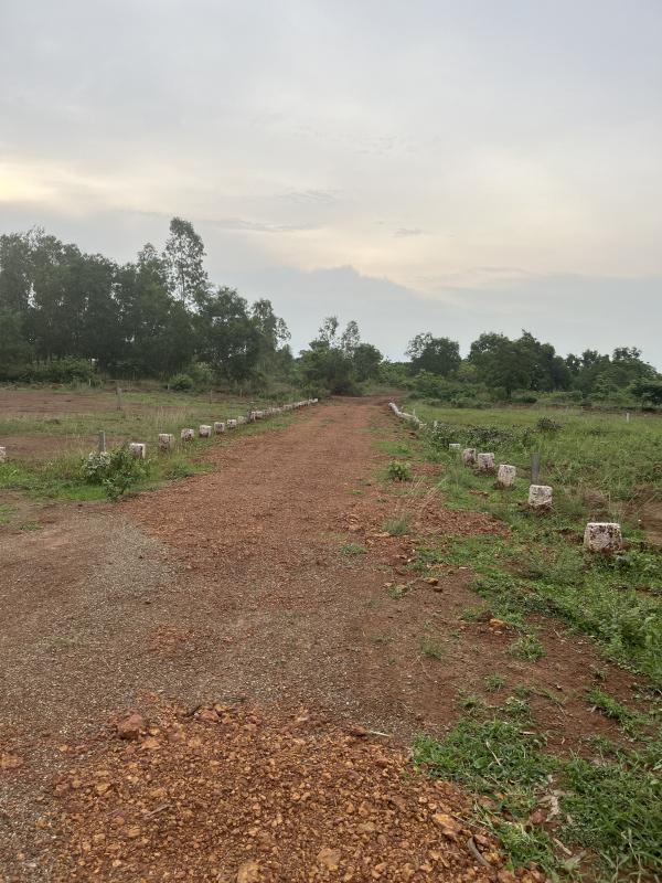  Residential Plot 1500 Sq.ft. for Sale in Baniatangi, Khordha