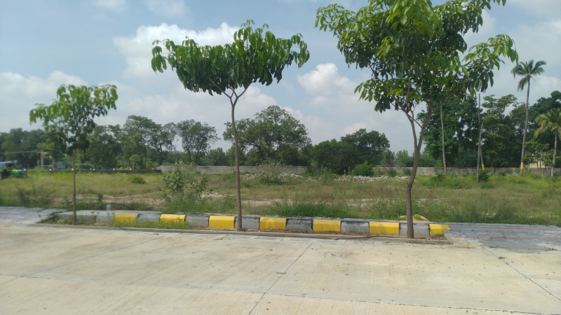  Residential Plot 2400 Sq.ft. for Sale in Rapthadu, Anantapur