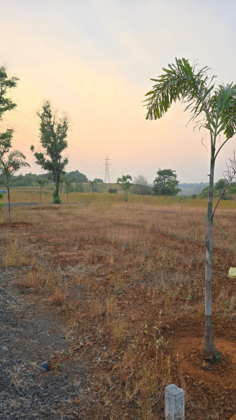  Residential Plot 2600 Sq.ft. for Sale in Igatpuri, Nashik