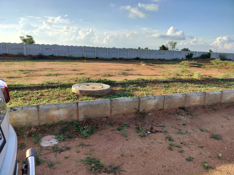  Residential Plot 147 Sq. Yards for Sale in Kadthal, Rangareddy