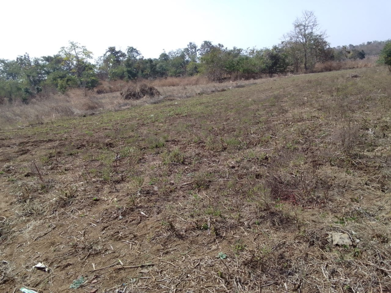  Residential Plot 18 Acre for Sale in Kondhali, Nagpur