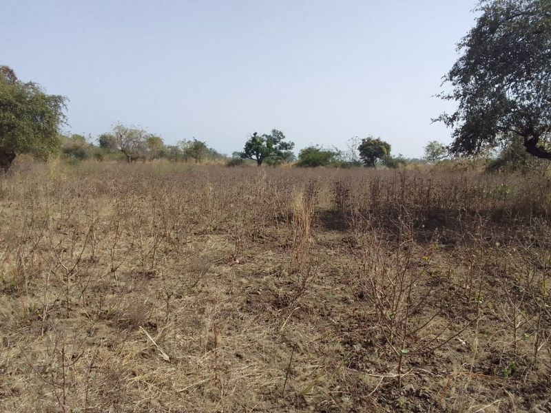  Residential Plot 18 Acre for Sale in Kondhali, Nagpur