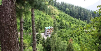 1.0 BHK Studio Apartments for Rent in Naggar Road, Manali