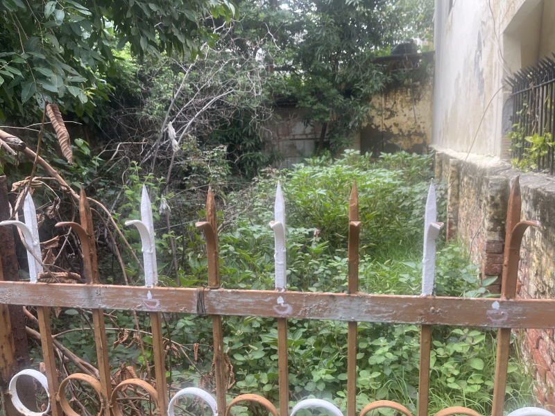  Residential Plot 700 Sq.ft. for Sale in Sector 55 Noida